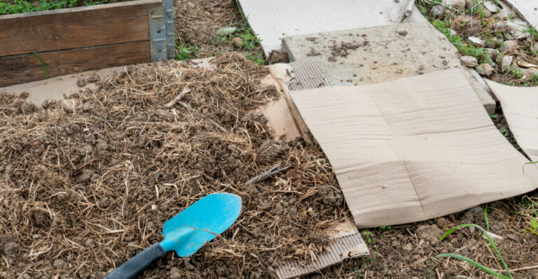 The Lazy Gardener’s Trick For Fewer Weeds