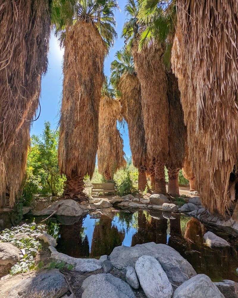 The Living Desert Turns Palm Desert Into A Garden-And-Wildlife Trip The Living Desert Turns Palm Desert Into A Garden-And-Wildlife Trip