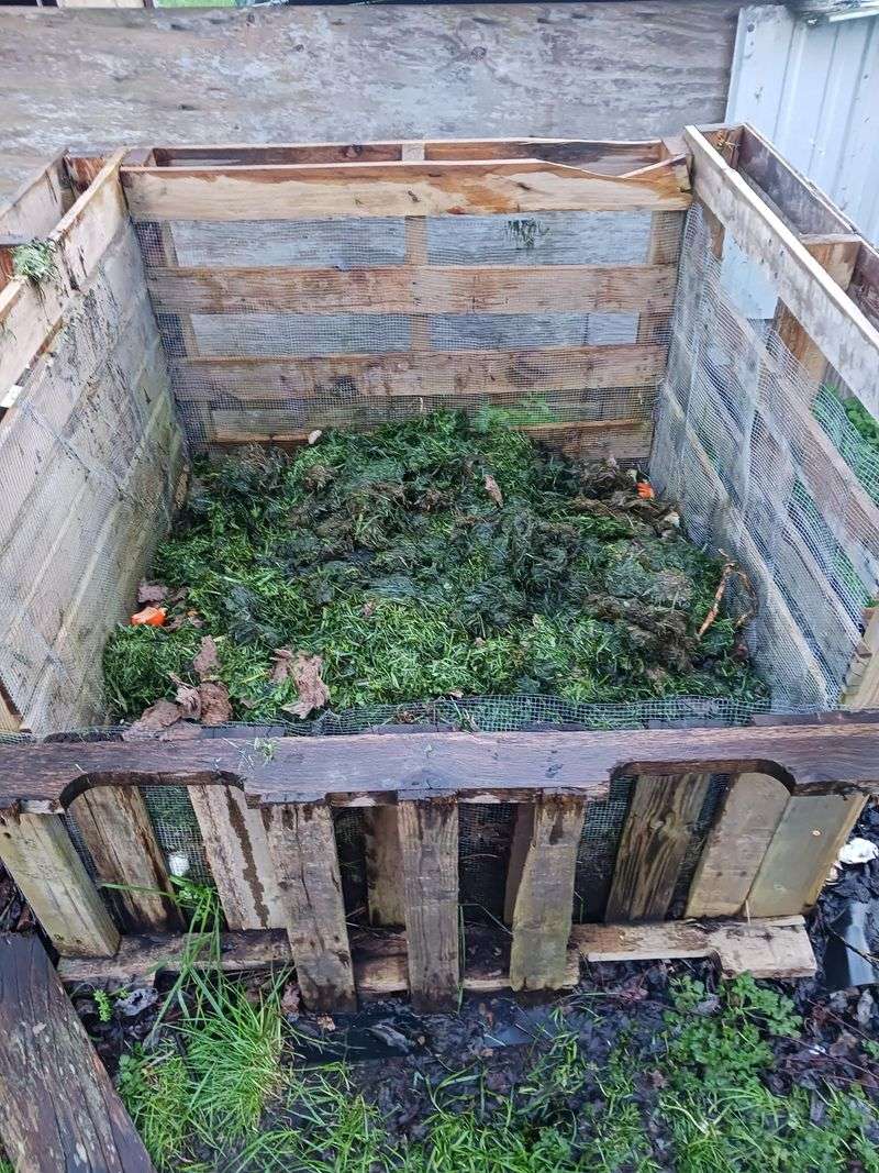 The Mistake That Turns Clippings Into A Problem Instead Of A Fix