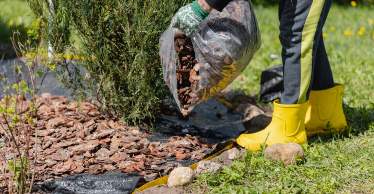 pine bark mulch