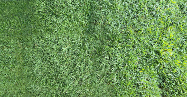 The Mowing Mistake Many Oklahoma Bermuda Grass Owners Make