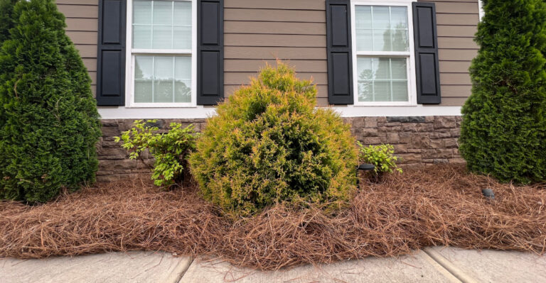 The Mulch California Homeowners Should Never Use Near Their House This Fire Season