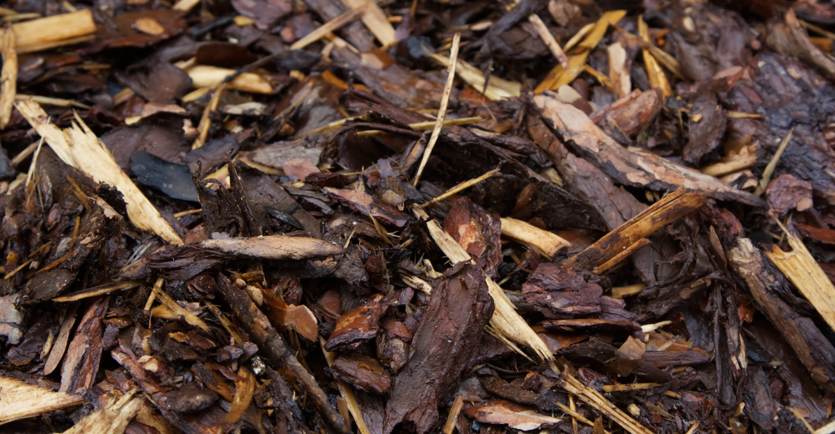 damp mulch