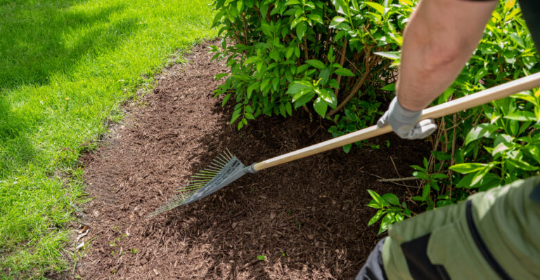 mulch (featured image)