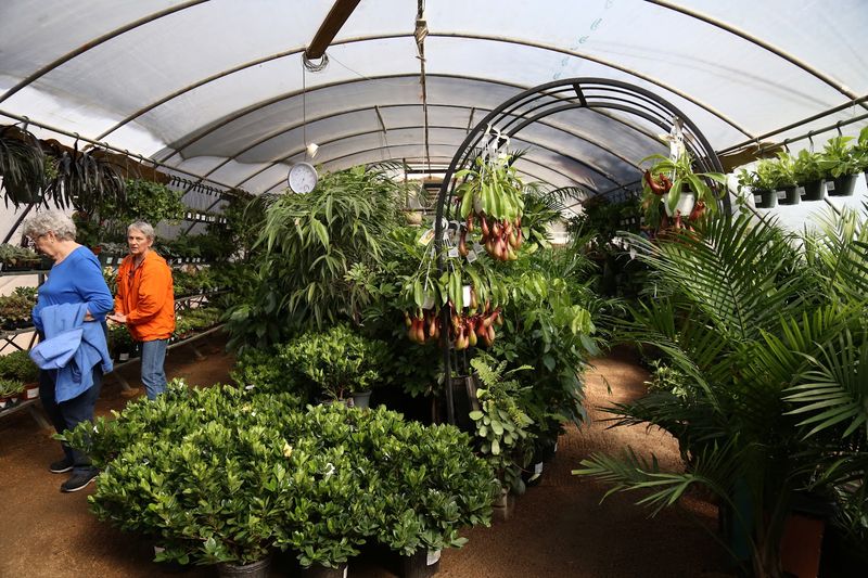 The Natural Gardener - Austin