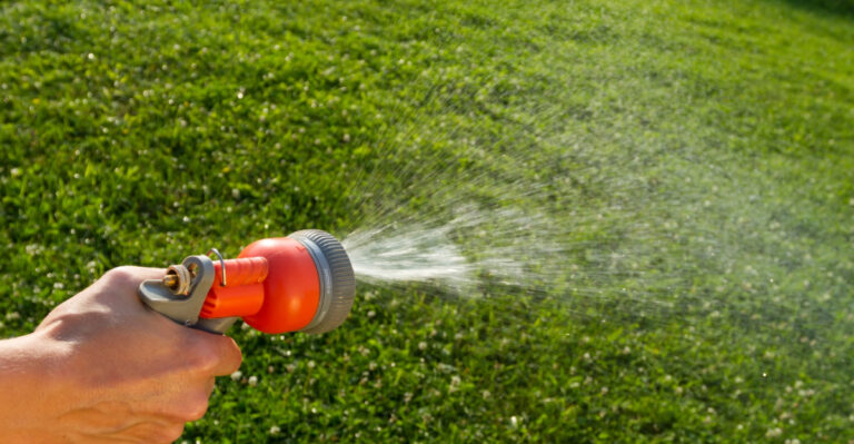 The One August Lawn Task California Homeowners Skip That They Always Regret