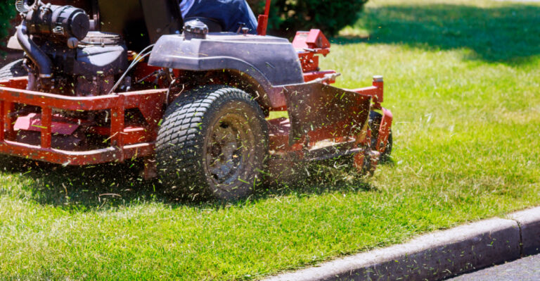 Lawn (featured image)