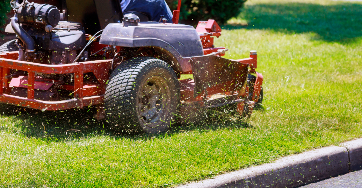 Lawn (featured image)