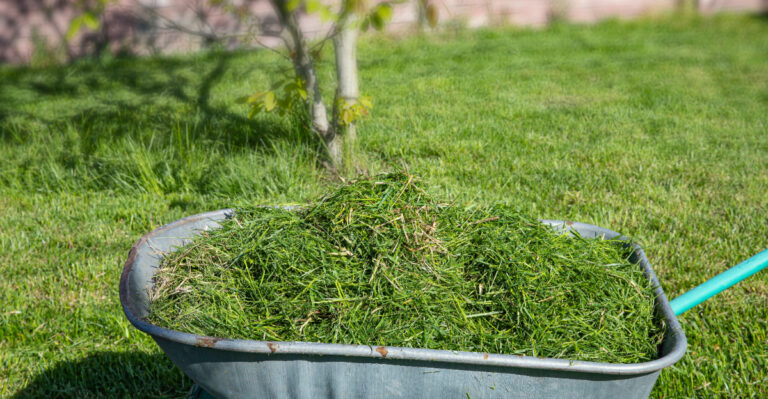 The One Thing Ohio Gardeners Add To Compost In August That Speeds Everything Up