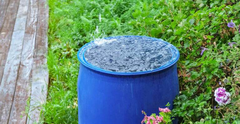 rain barrel