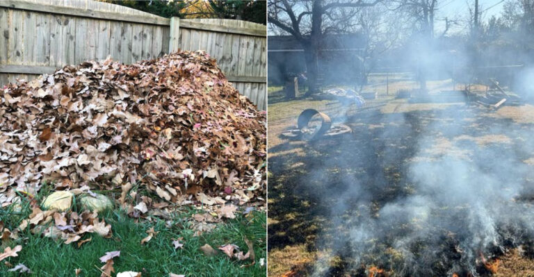 The Oregon Yards Most At Risk For Wildfire And The Landscaping Changes That Actually Help