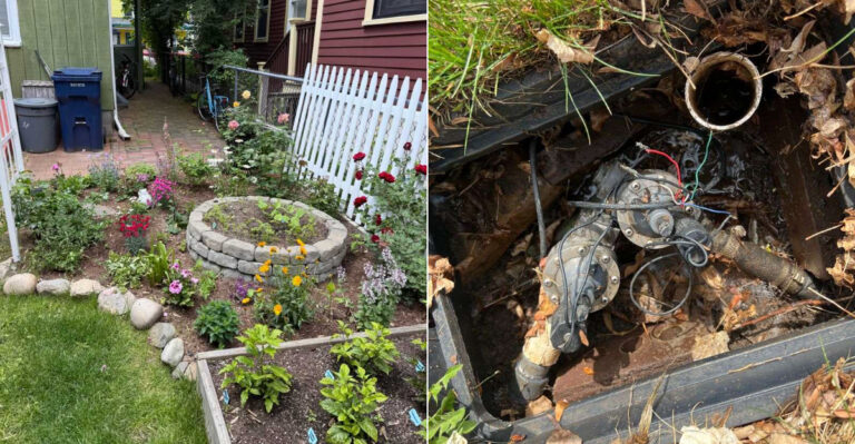 The Oregon Yards Most Likely To Fail Under Water Restrictions And What To Do Before They Hit