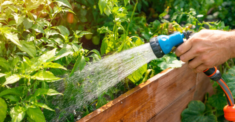 The Pennsylvania Garden Watering Mistakes That Make Drought Stress Significantly Worse
