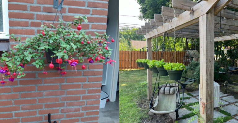 The Plants Oregon Gardeners Should Move Before Summer Heat Peaks