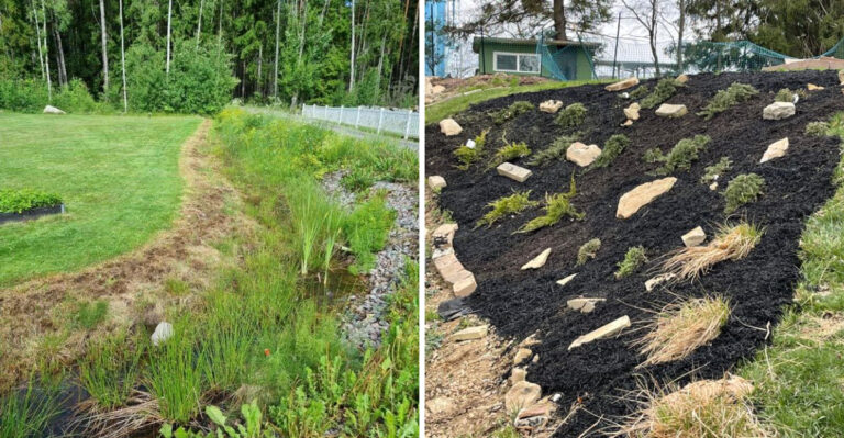 The Rainy Season Drainage Fix That Saves Florida Yards Every Summer