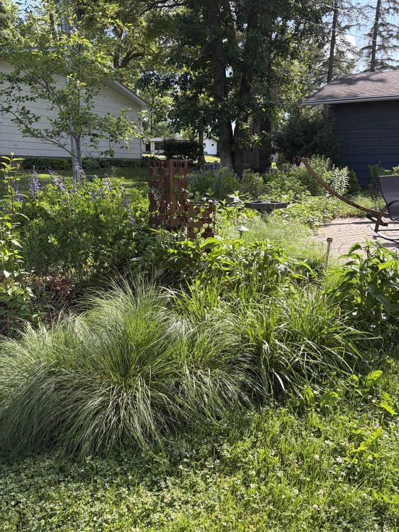 The Real Meaning Is A Yard Worth Protecting The Real Meaning Is A Yard Worth Protecting
