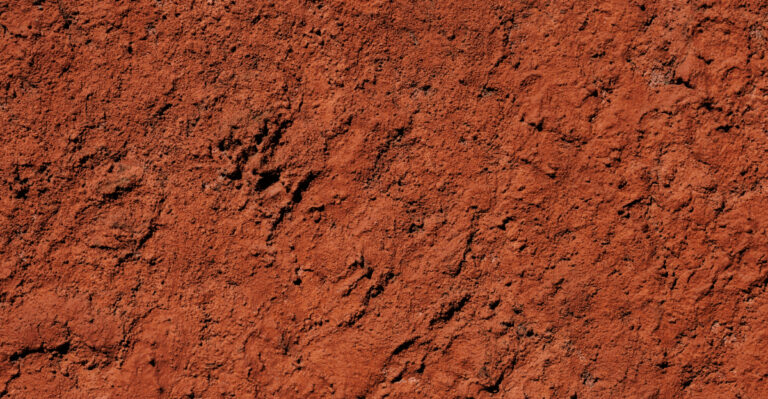 The Red Dirt Soil Tricks Every New Oklahoma Homeowner Should Know