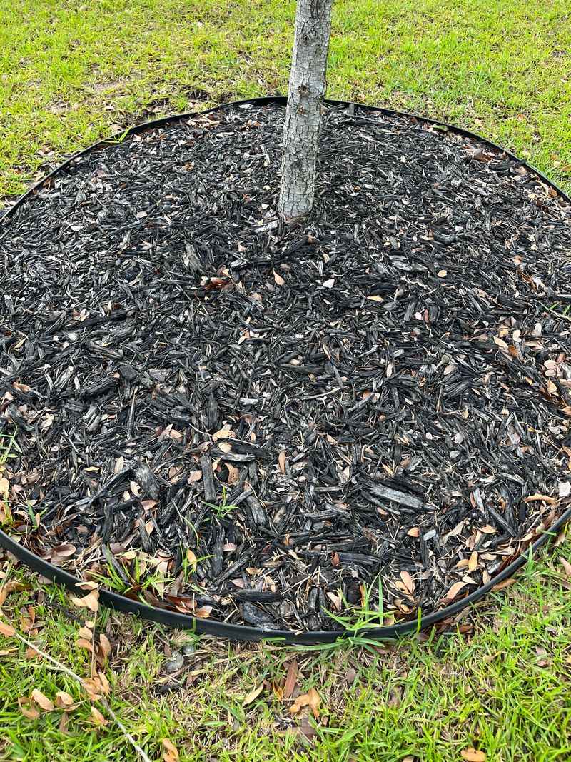 The Right Depth And Distance For Mulch The Right Depth And Distance For Mulch