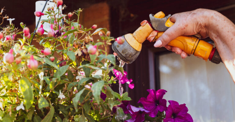 The Right Way To Water Hanging Baskets For Healthier Blooms