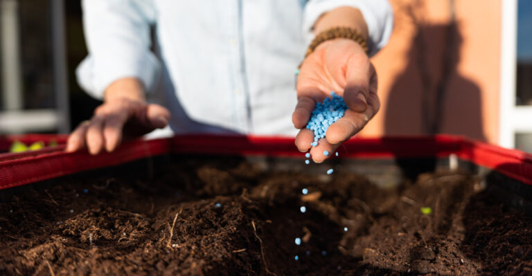 raised bed fertilizing