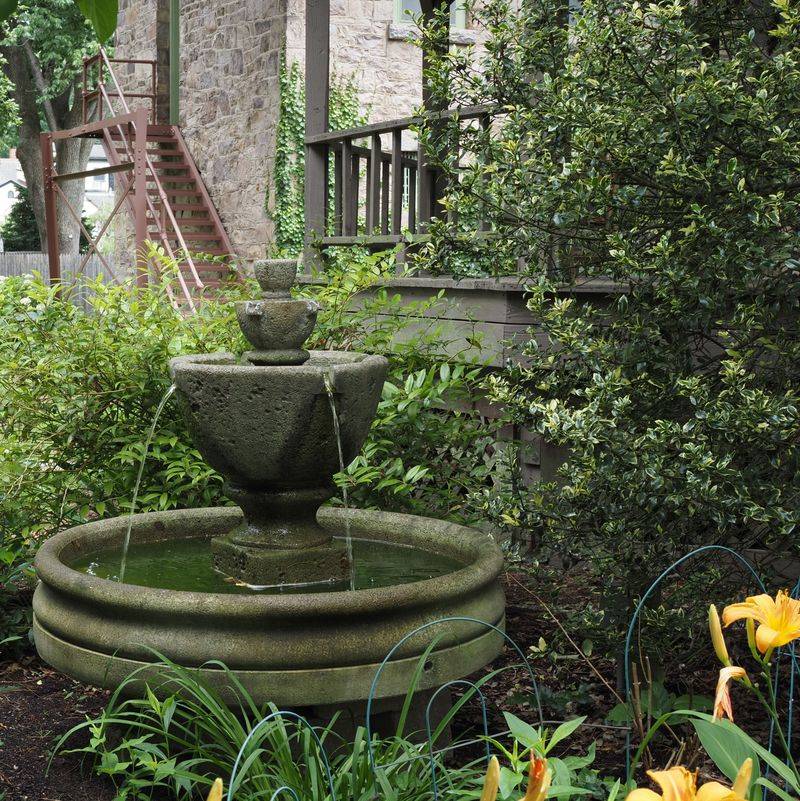 The Shift Away From Traditional Backyard Ponds