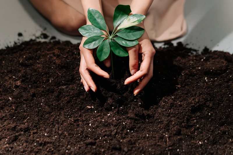The Soil Test That Reveals What's Really Happening The Soil Test That Reveals What's Really Happening