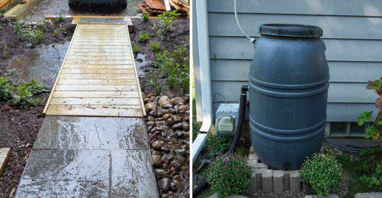 The Spots In Michigan Gardens Where Mosquitoes Can Breed After Just One Rain