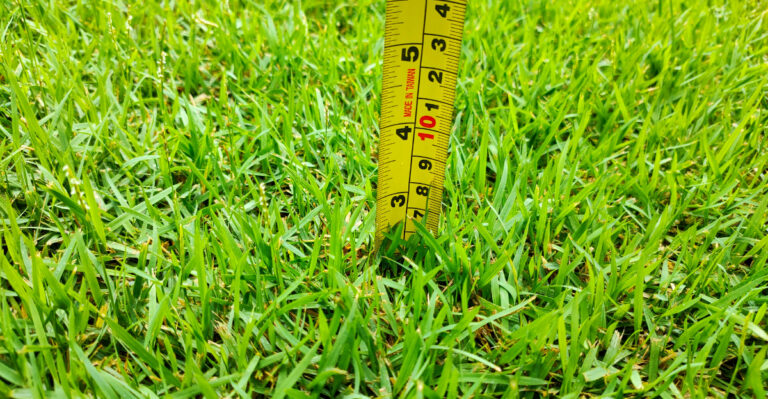 The Summer Mowing Mistake Many Arkansas Bermuda Grass Owners Make
