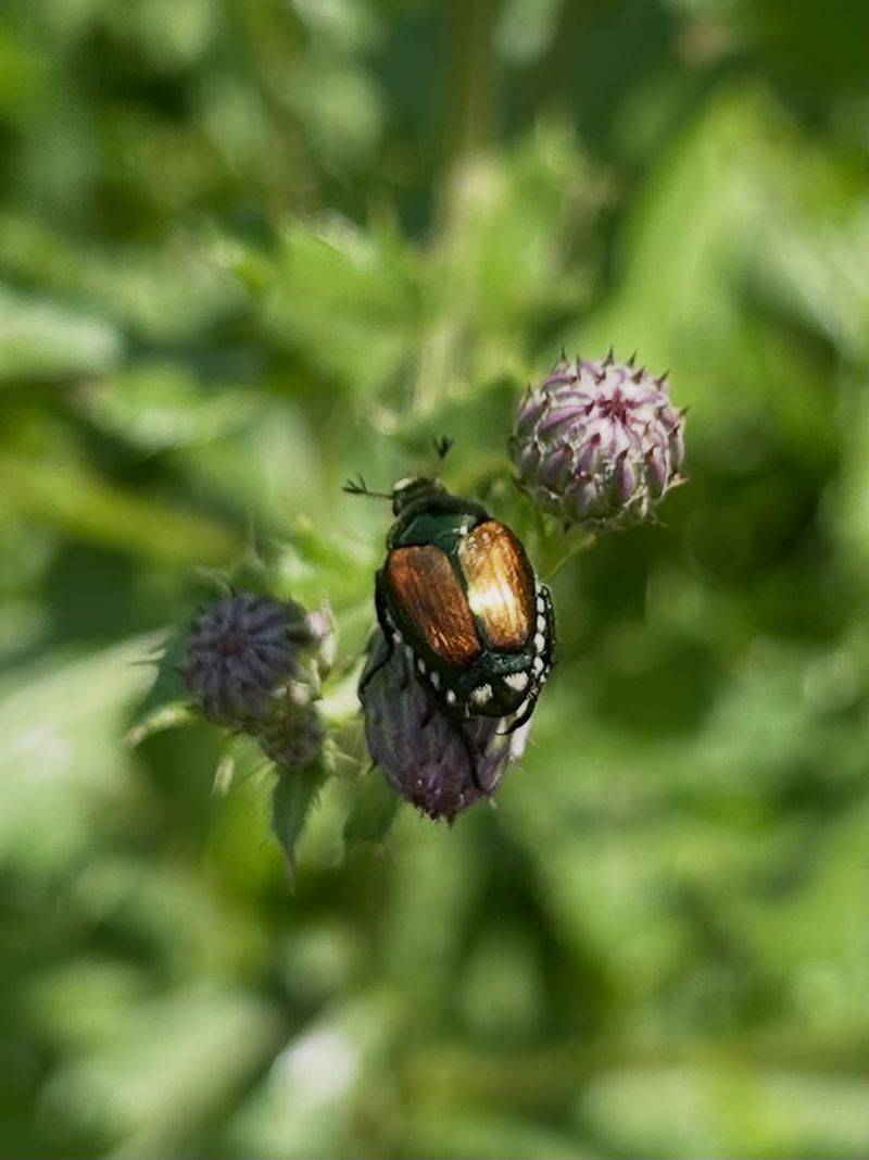 The Takeaway For North Carolina Gardeners The Takeaway For North Carolina Gardeners