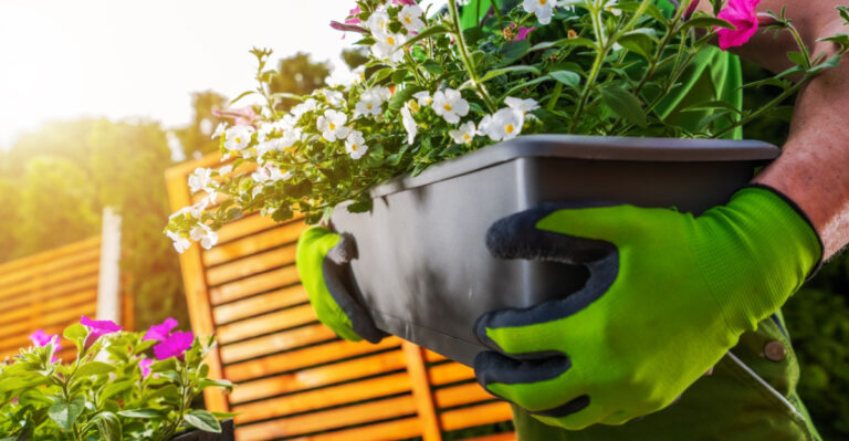 The Texas Yard Prep Checklist Every Homeowner Should Do Before August Storm Season