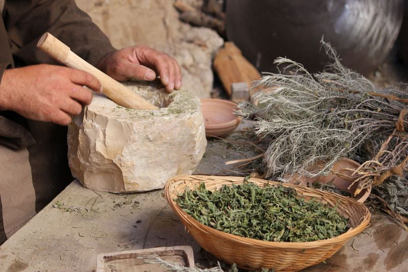 The Traditional Remedies Behind Its Bitter Reputation The Traditional Remedies Behind Its Bitter Reputation