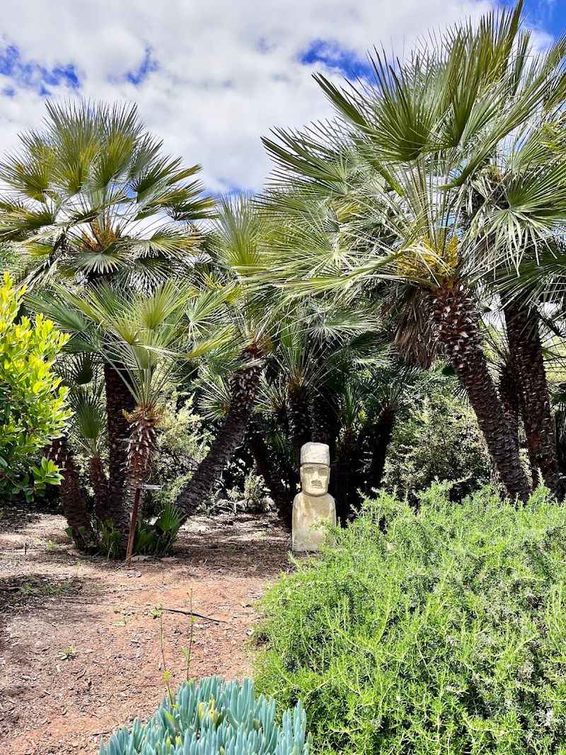 The Water Conservation Garden Makes El Cajon A Water-Wise Stop The Water Conservation Garden Makes El Cajon A Water-Wise Stop