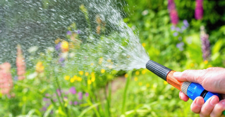 The Watering Habit That’s Quietly Stressing Your Maryland Yard