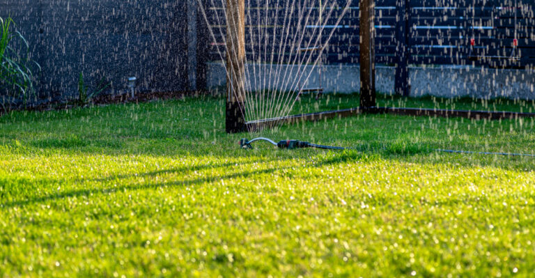 lawn (featured image)