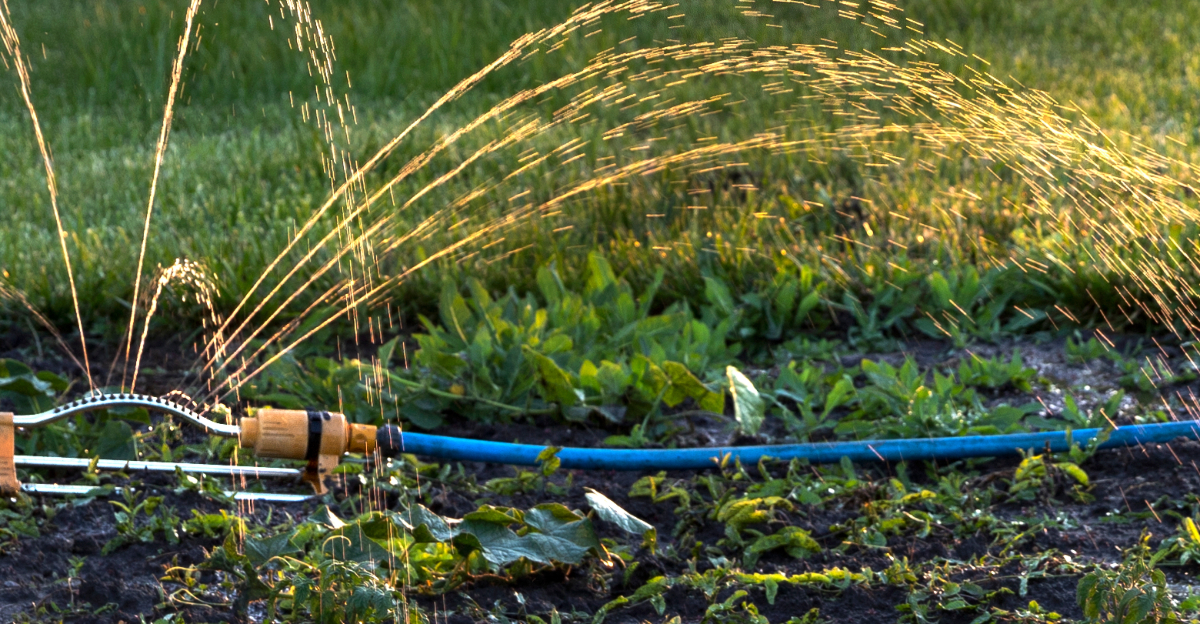garden watering