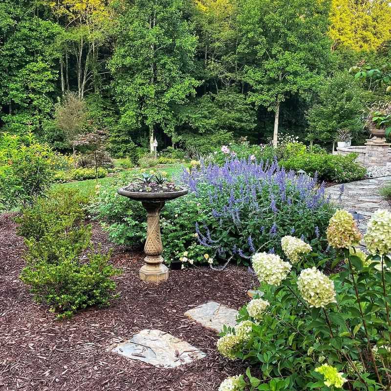 The Yard May Be Less Insect Friendly Overall The Yard May Be Less Insect Friendly Overall