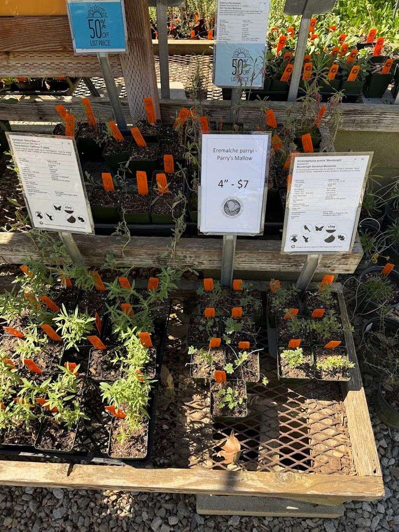 Theodore Payne Foundation For Wild Flowers & Native Plants — Sun Valley, CA Theodore Payne Foundation For Wild Flowers & Native Plants — Sun Valley, CA
