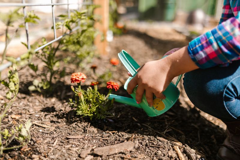 There's A Watering Habit Quietly Weakening Your Flower Beds