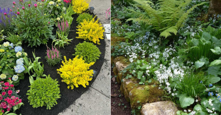 These 10 Shade Garden Design Tips Make Oregon Yards Feel Lush And Beautiful