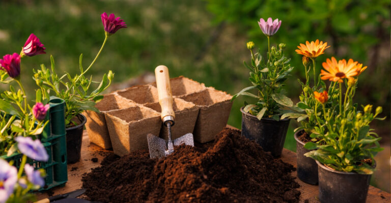 These Are The Gardening Mistakes Costing Maryland Homeowners The Most