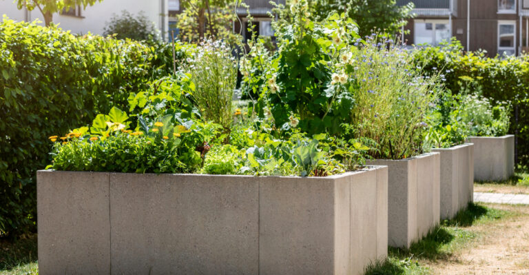 These Are The Plants California Landlords Aren’t Allowed To Remove