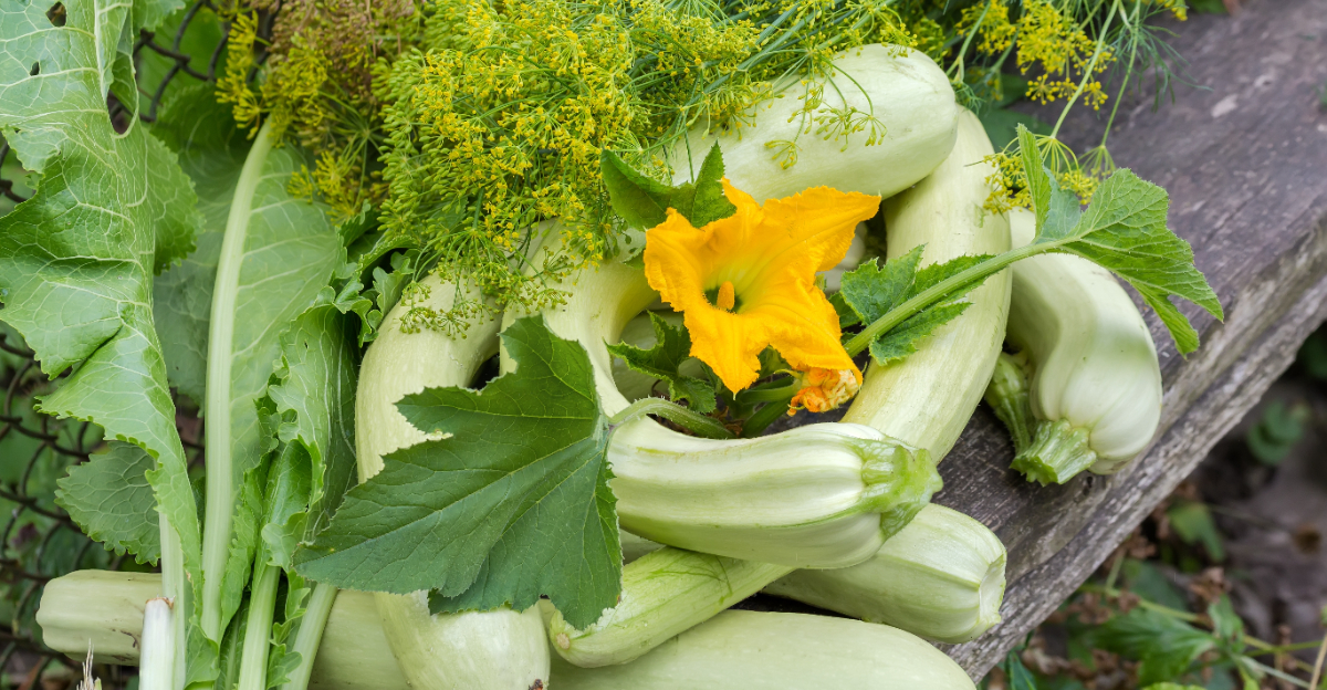 vegetables (featured image)