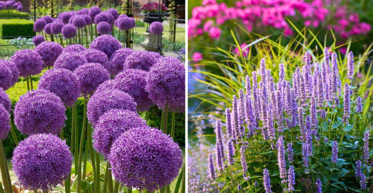 These Fragrant Michigan Garden Plants Are Less Likely To End Up On A Deer’s Menu