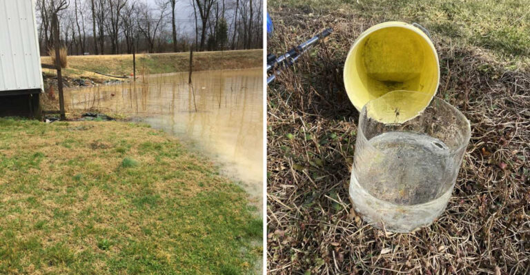 These Ohio Yard Drainage Mistakes Can Make Tick Habitat Worse