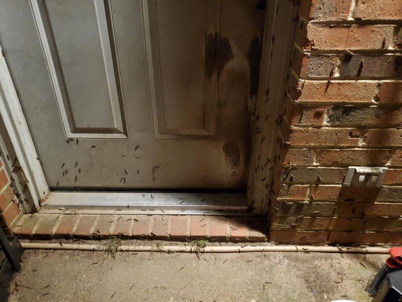 They May Move Toward Patios, Doors, And Walls They May Move Toward Patios, Doors, And Walls