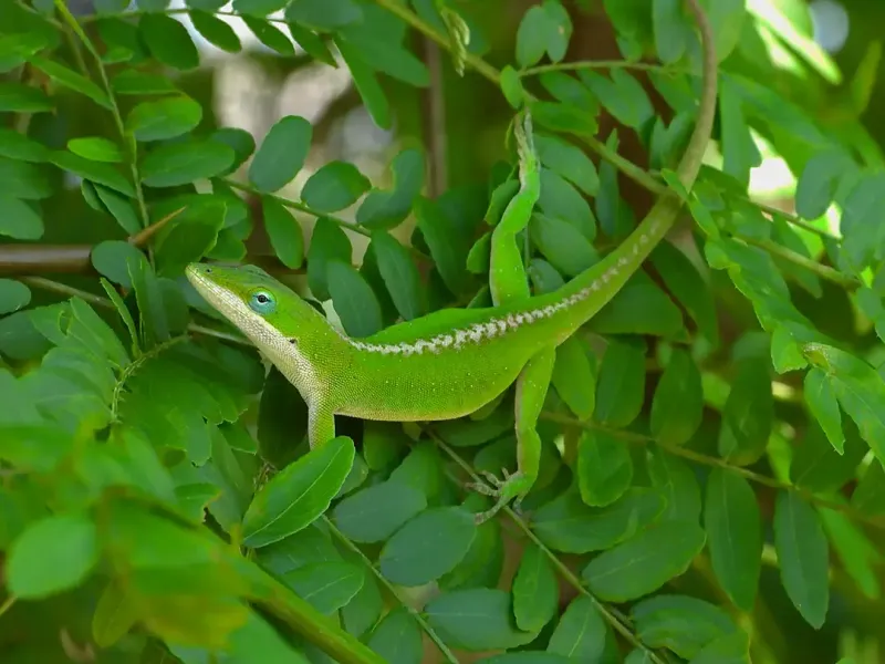 They May Still Be There But Blending In Better They May Still Be There But Blending In Better