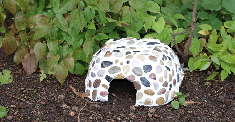 They Need Cool Shelters To Survive Summer Heat