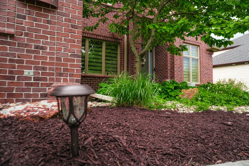 Thick Damp Mulch Creates Tick-Friendly Cover Thick Damp Mulch Creates Tick-Friendly Cover