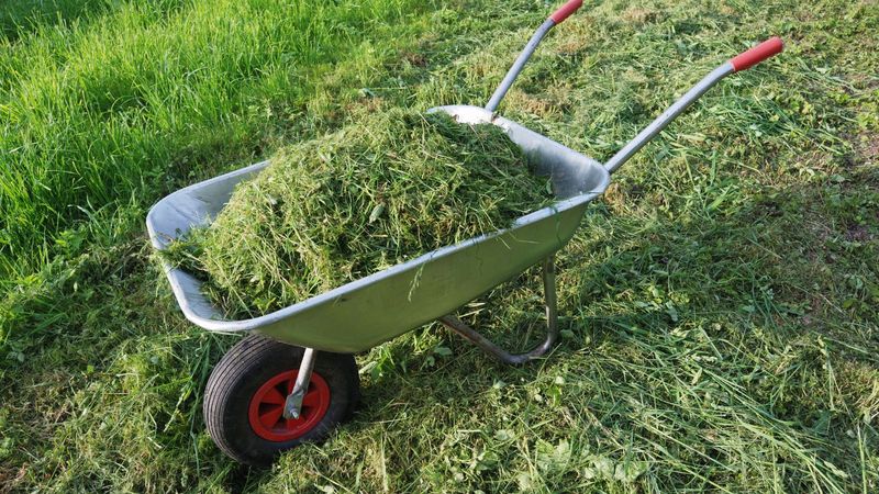 Thick Fresh Layers Can Form A Harmful Mat Thick Fresh Layers Can Form A Harmful Mat
