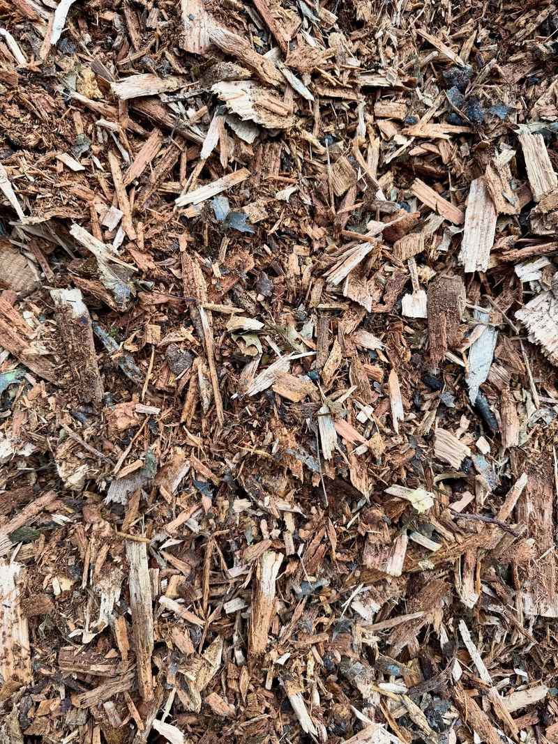 Thick Mulch Makes New Shoots Easier To Spot Thick Mulch Makes New Shoots Easier To Spot
